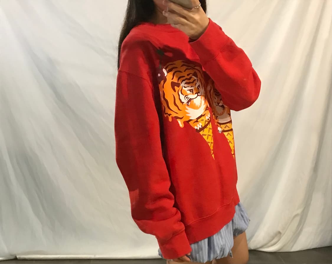 BBC tigger ice cream sweatshirt 상품이미지3