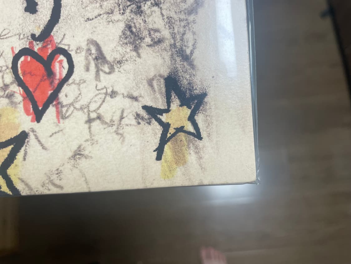 타일러 더 크리에이터 igor 한정반 크로마코피아 cd lp 상품이미지5