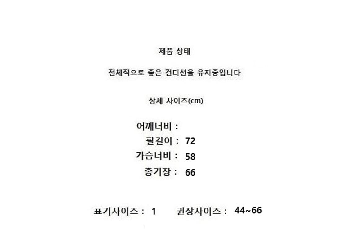 ISSEY MIYAKE (44~66) 상품이미지9