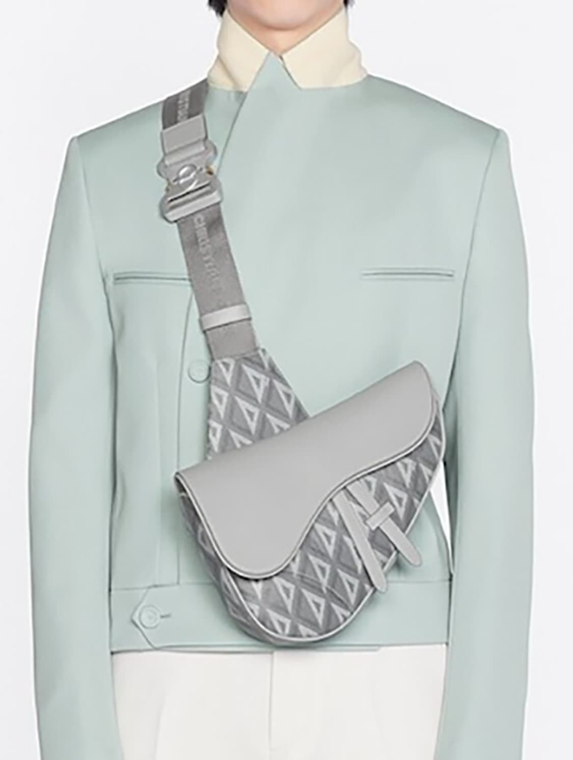 디올 새들백 CD 다이아몬드 캔버스 스무스 카프스킨 그레이 새들백 상품이미지1