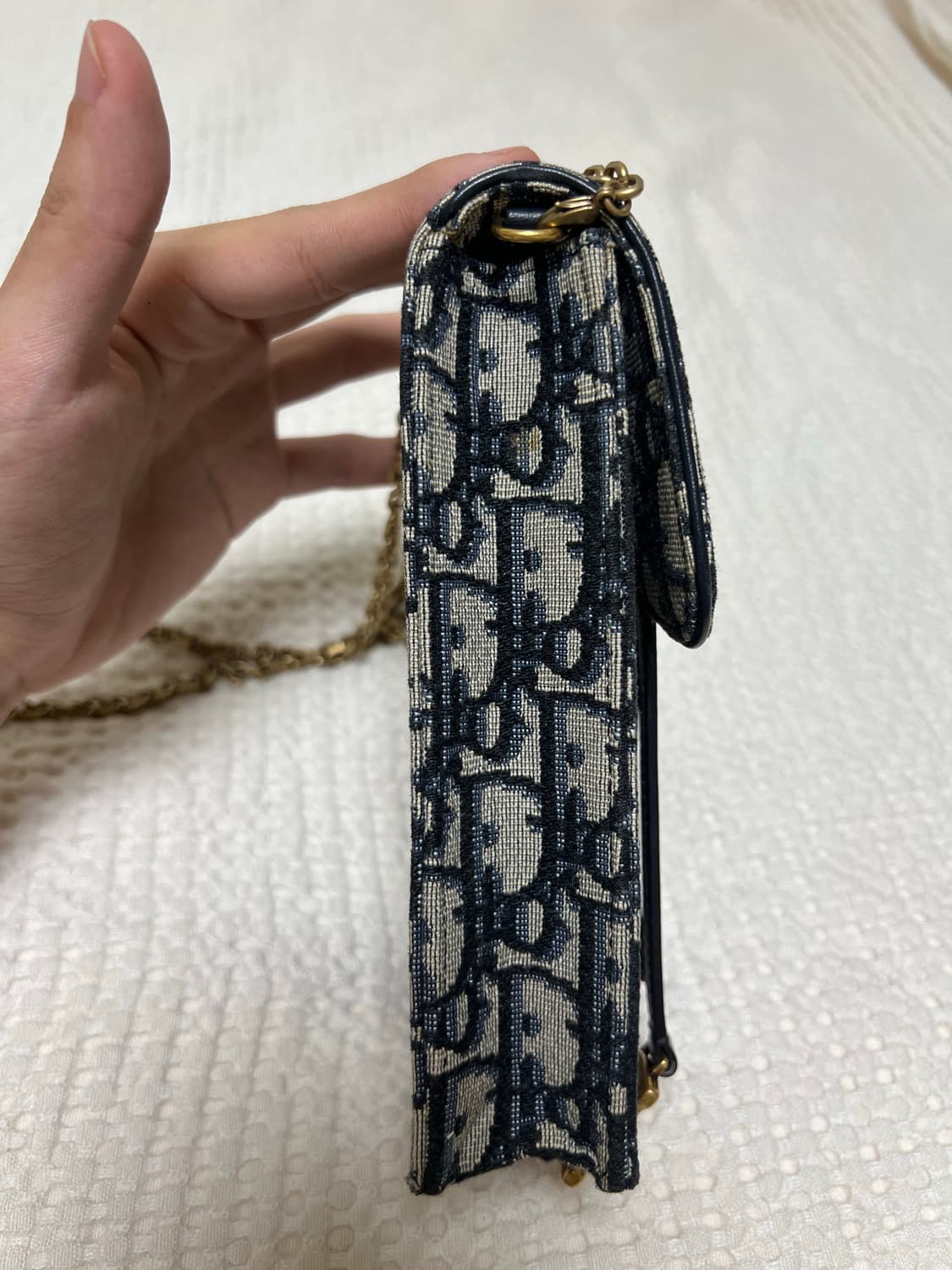 디올 오블리크 새들 버티컬백 상품이미지9