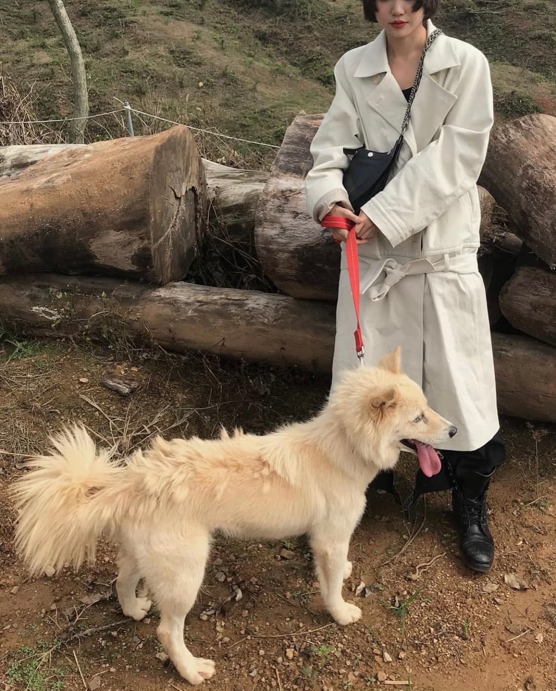 애옹쓰 로우웨이스트 캔버스 트렌치코트 상품이미지3