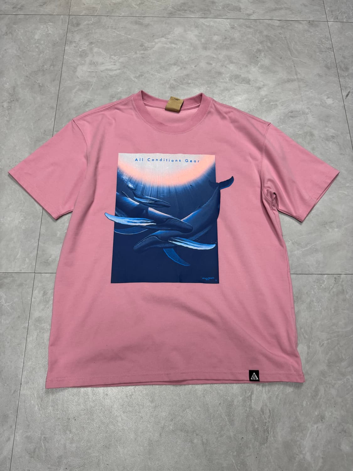 나이키 ACG 상품이미지1