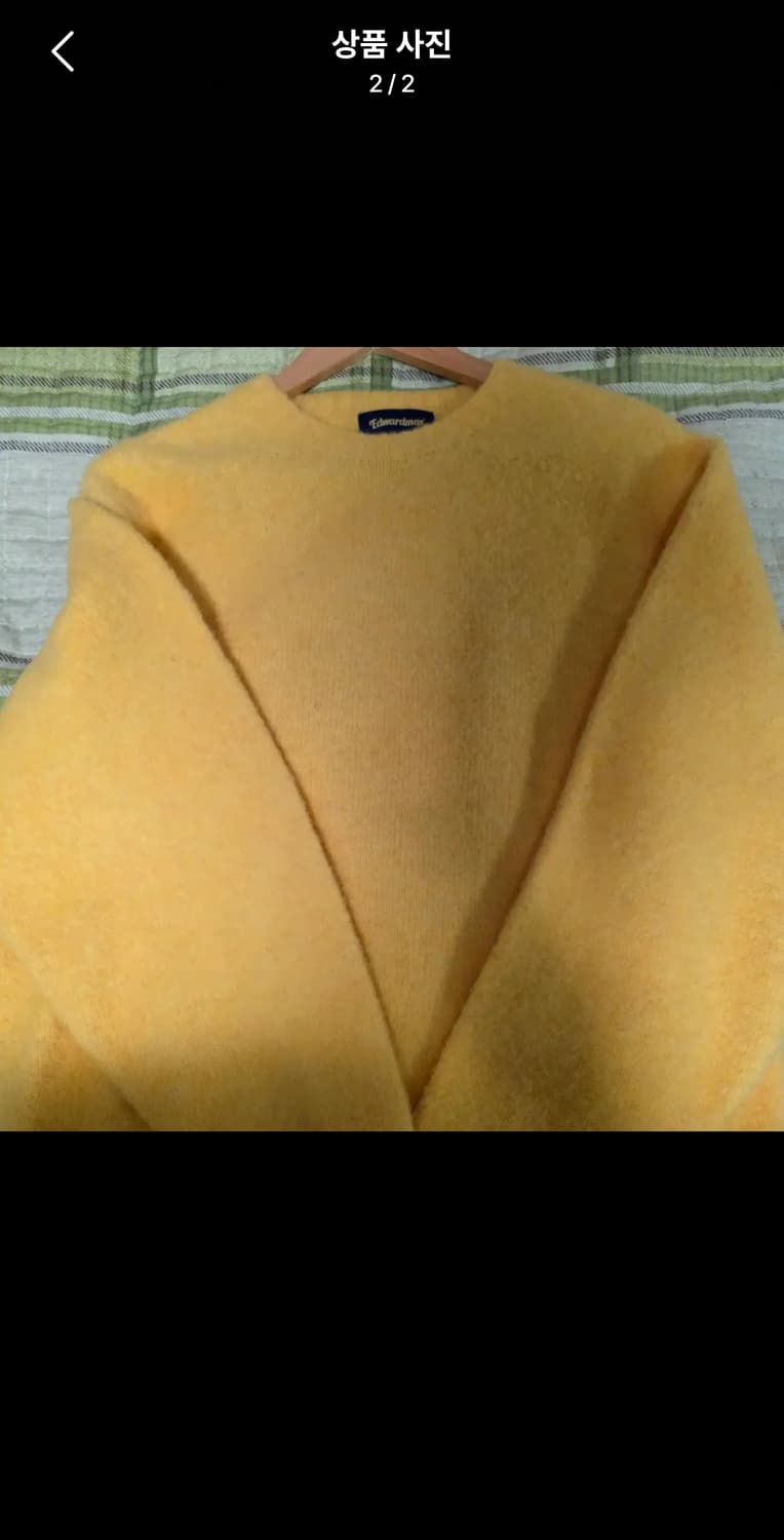 에드워드 쉐기독 남여공용 라운드 니트 (옐로우) 상품이미지2