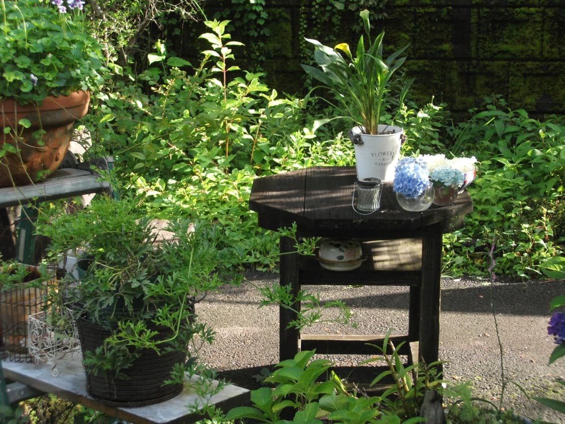 후지필름 파인픽스 j30 빈티지 카메라(작례O) 상품이미지8