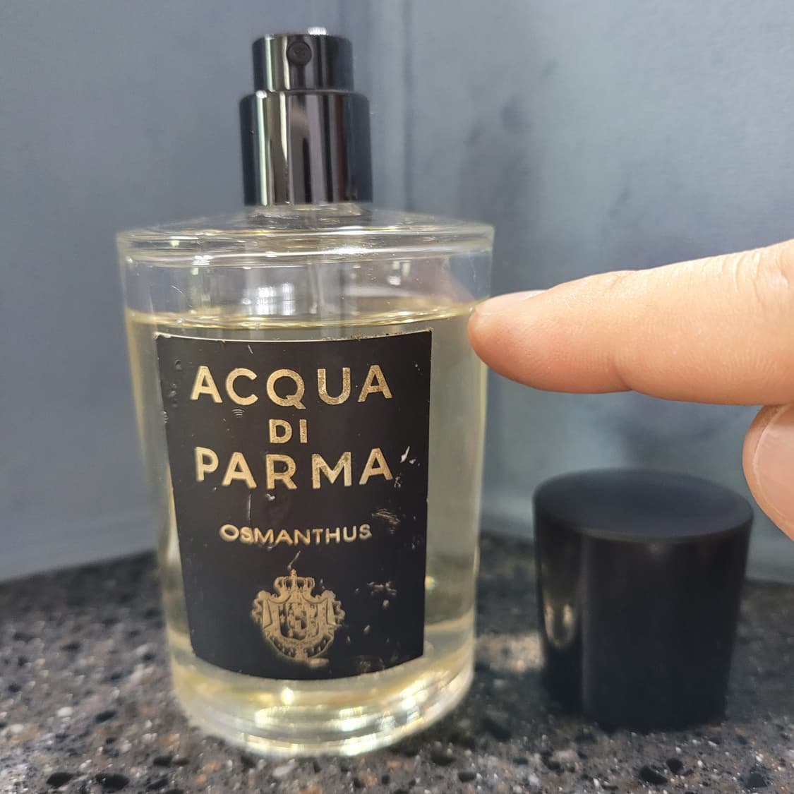 아쿠아 디 파르마 오스만투스 100ml 향수 (6) 상품이미지1