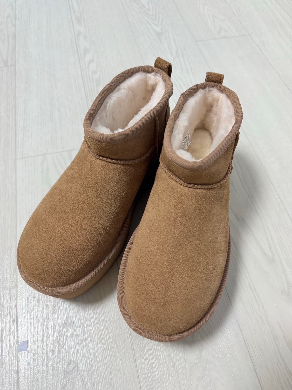 어그 스웨이드 레더 미니 플랫폼 부츠 체스넛 / 1135092CHE 상품이미지3