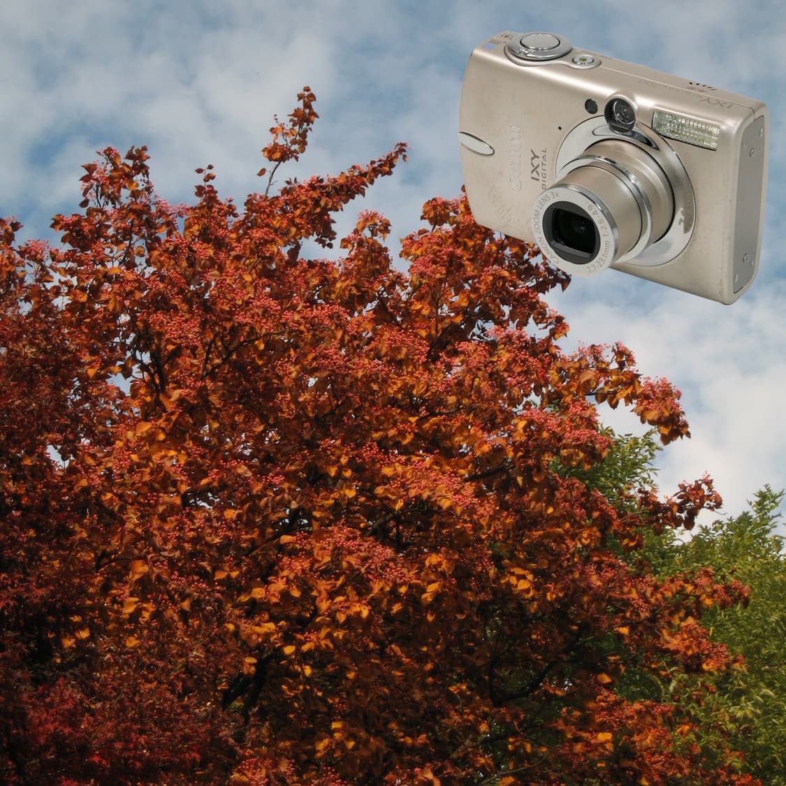 IXY Digital 700 / IXUS 750 (✨A급/🎁풀패키지) 상품이미지6