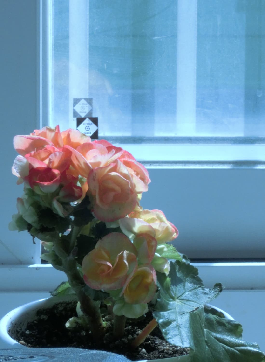 CASIO EXILIM 카시오 엑슬림 EX-ZR410 상품이미지10