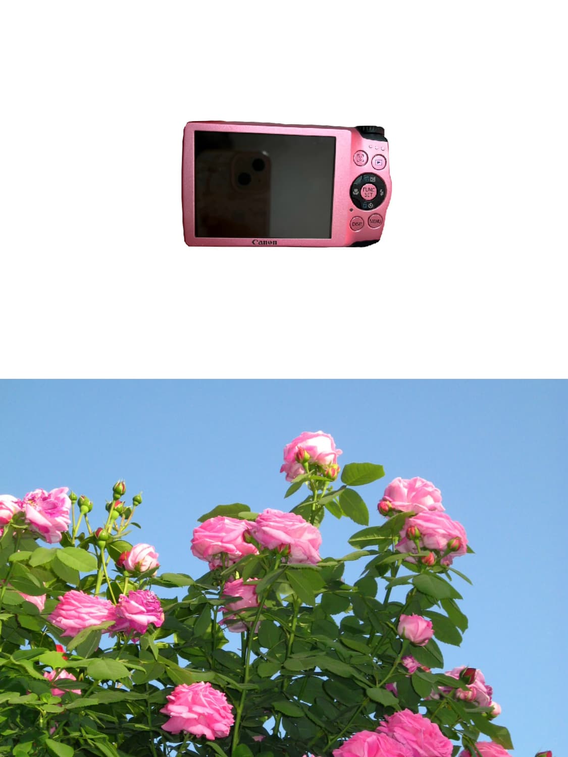 Canon PowerShot a3300is 상품이미지2
