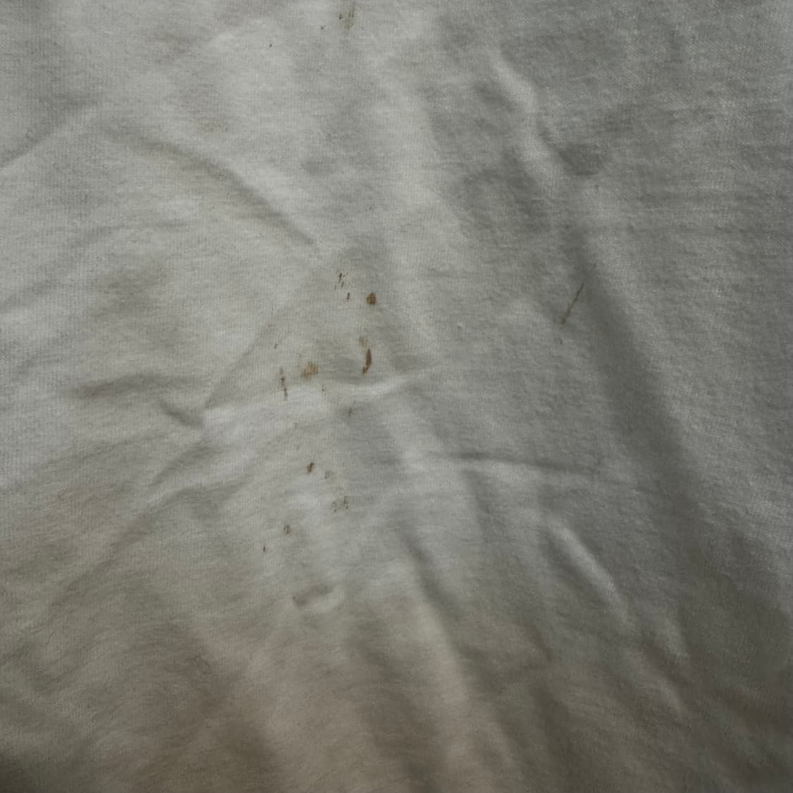 디스퀘어드2 캐나다로고 롱슬리브 상품이미지4