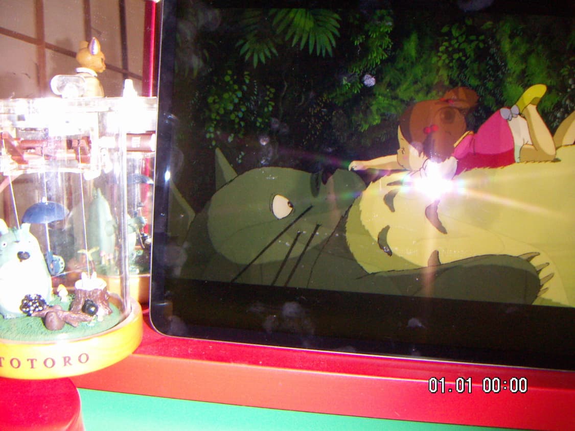 작례) Minolta 미놀타 디미지x31  DiMAGE X31  상품이미지4