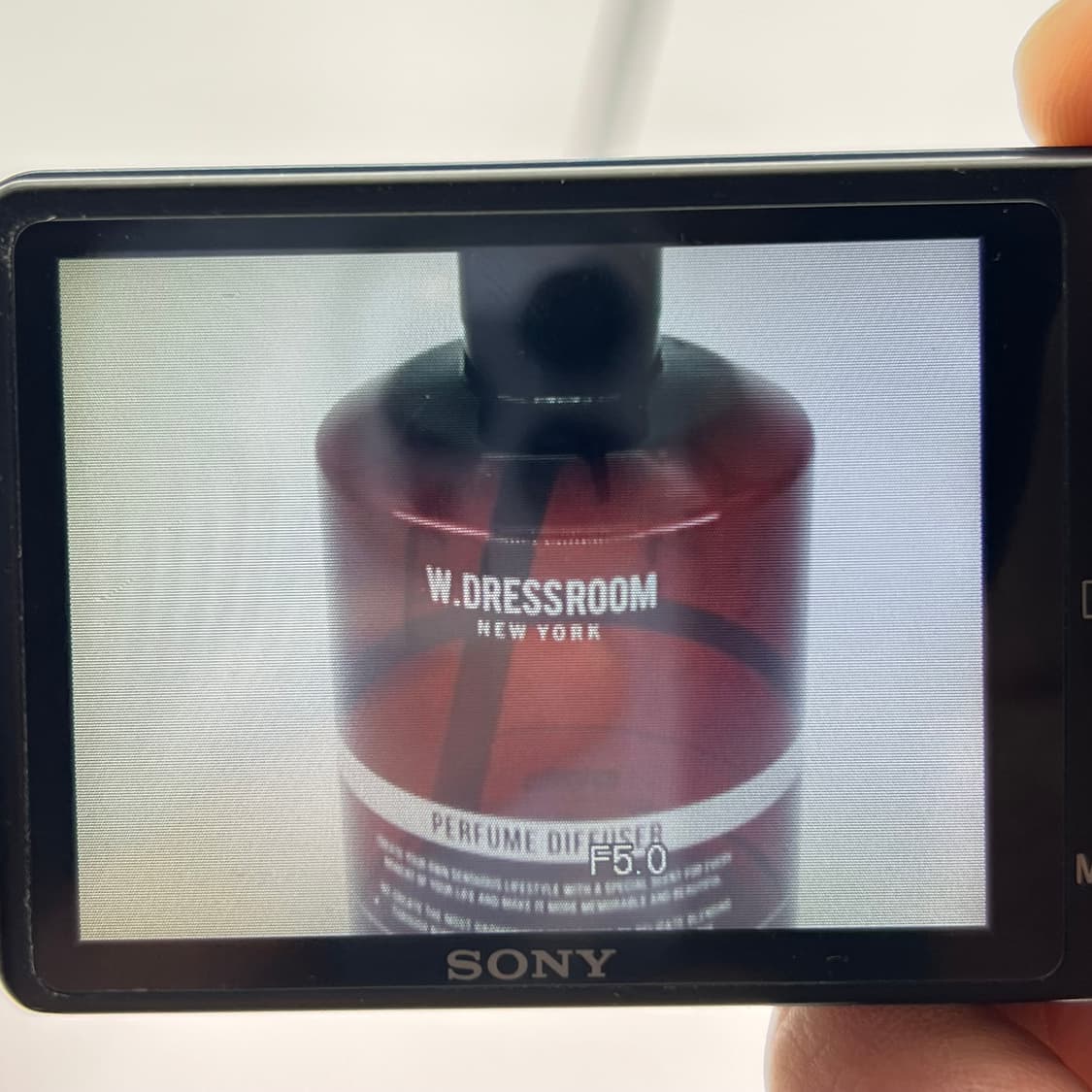 소니 사이버샷 Sony Cyber-shot DSC-W350 블루 상품이미지9