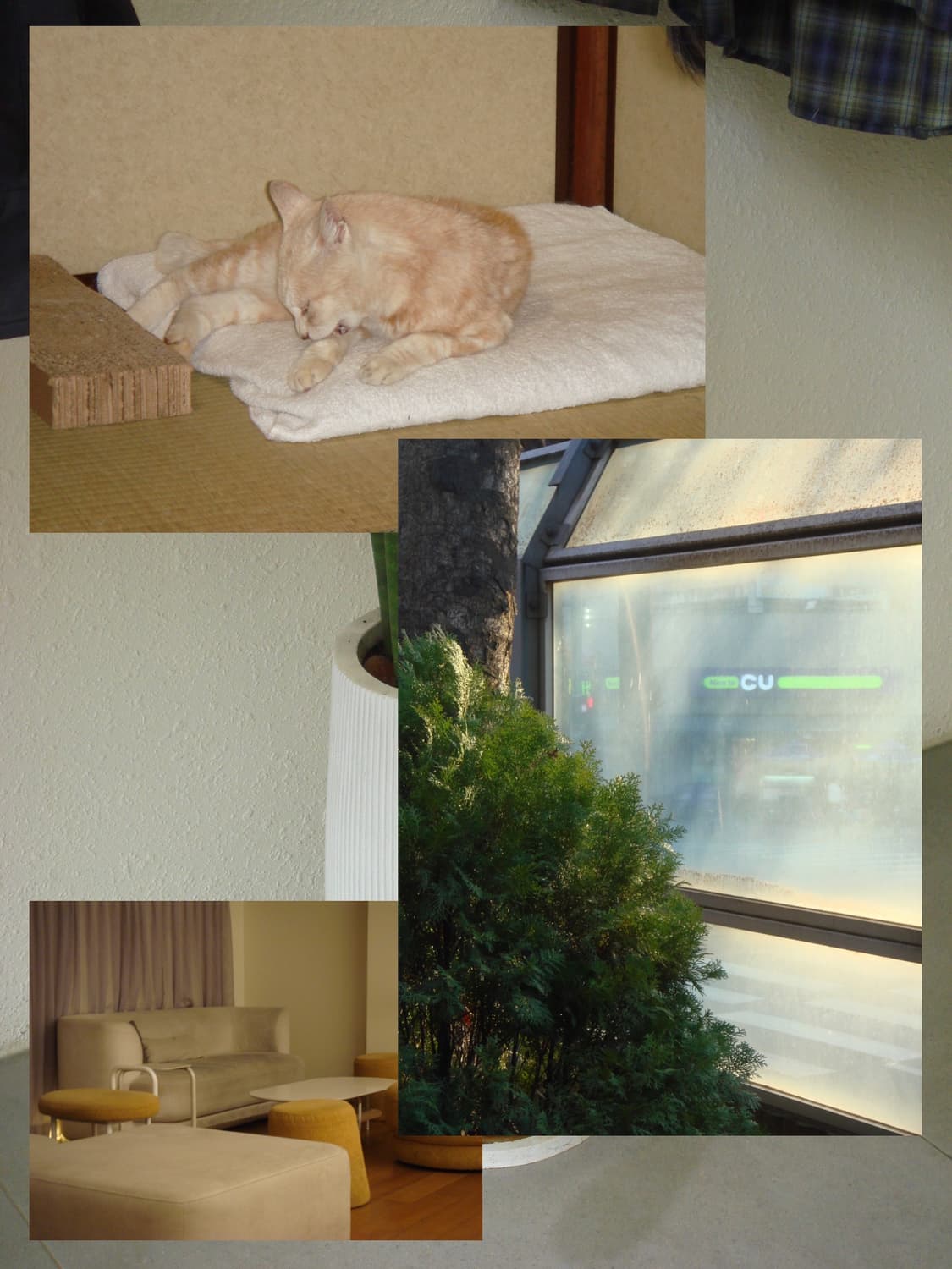 소니 사이버샷 dsc-T30 작례⭕️ / 실버 감성 디카 CCD 상품이미지4