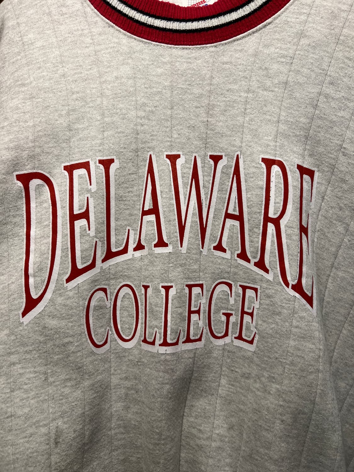 [XL]90's 저지스 USA Made DELAWARE 칼리지 스웻셔츠 상품이미지3