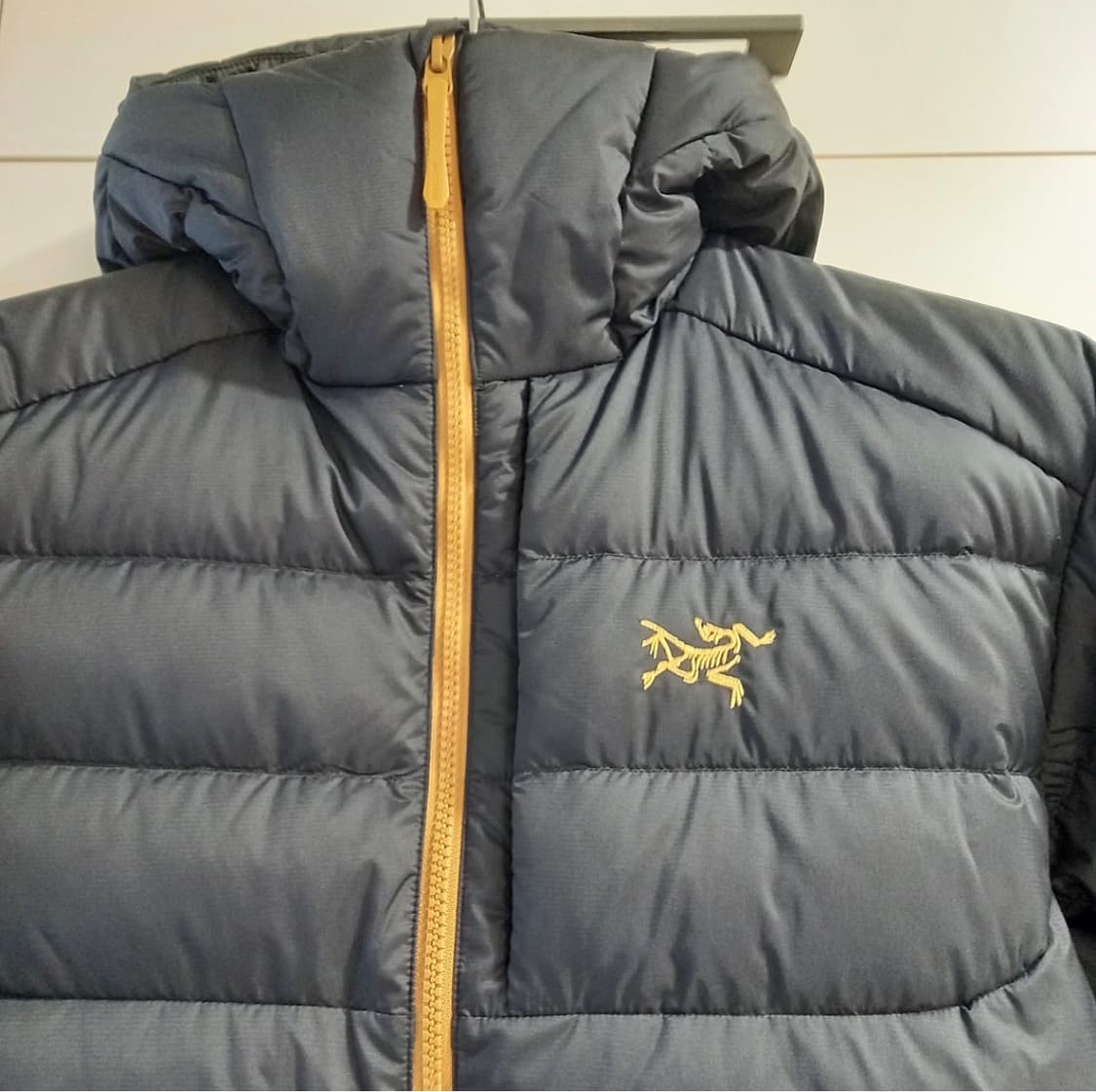 아크테릭스 토륨 후디 상품이미지2