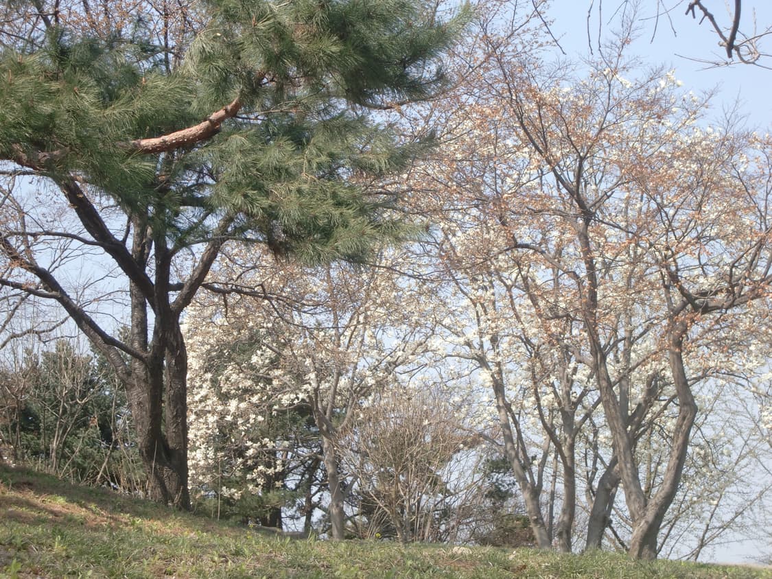 메이크업모드&인물사진!) Casio Exilim EX-H10 디카 상품이미지4