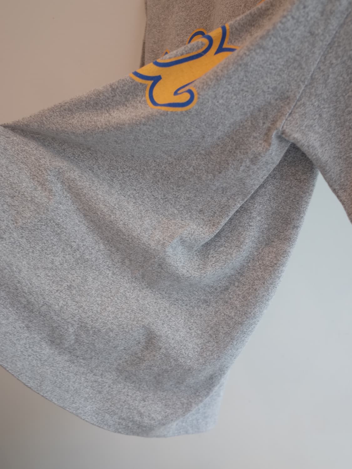 Champion T1011 UCLA 챔피온 티셔츠 상품이미지5