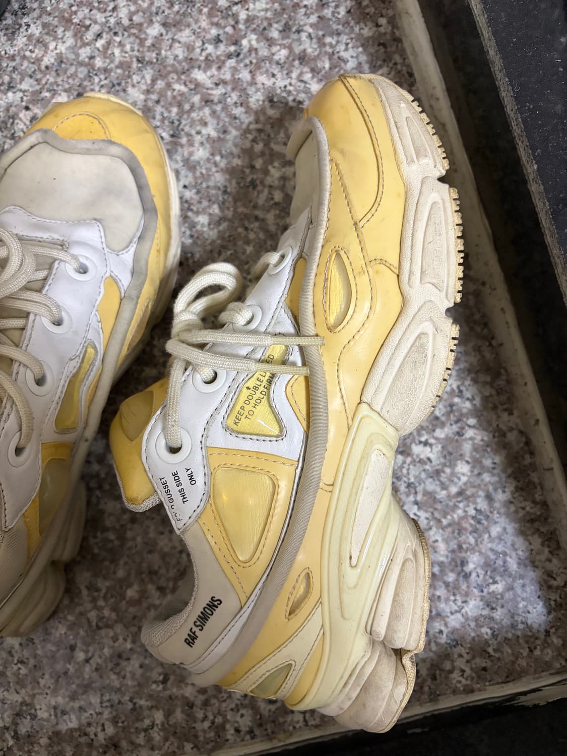 라프시몬스 오즈위고 버니크림 255 상품이미지4