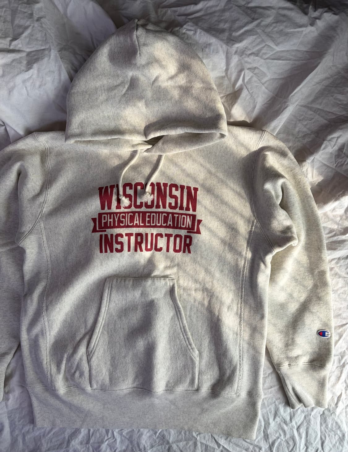 챔피온 재팬 리버스위브 블루택 스웻 후드 / XL 상품이미지2