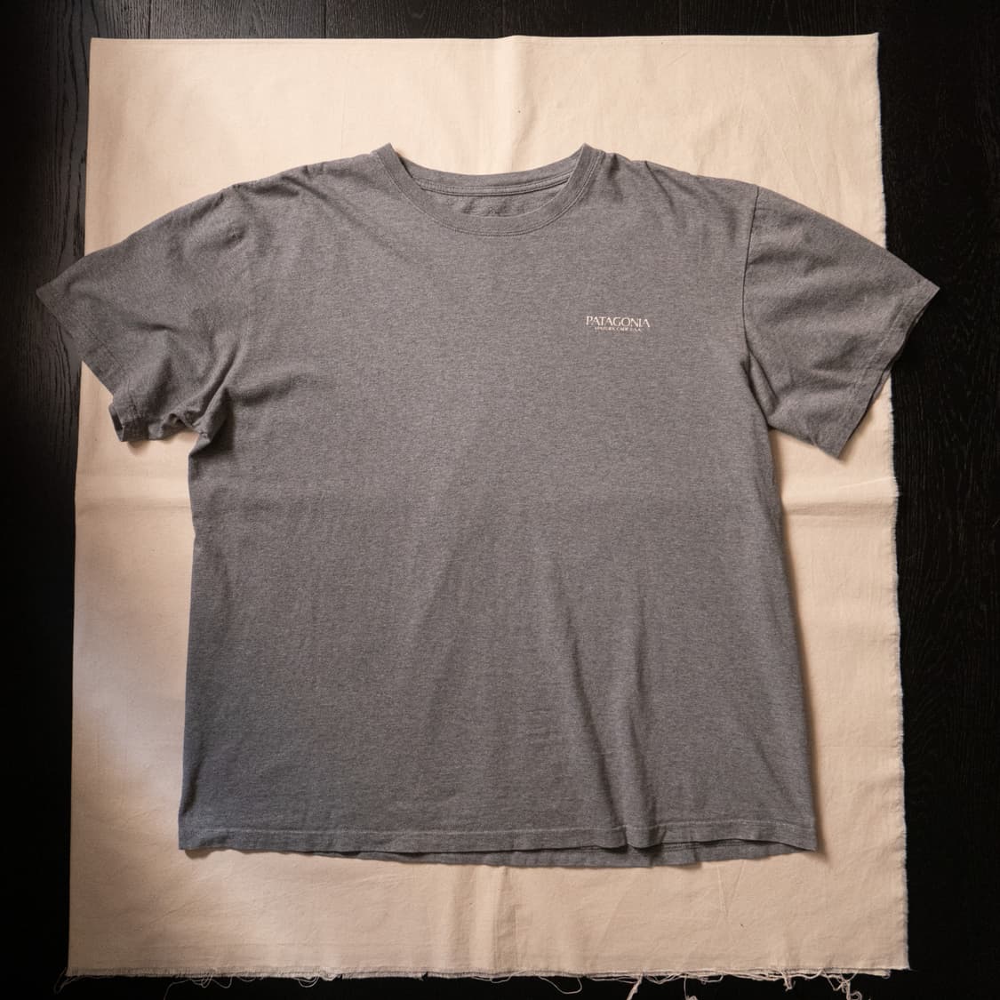 Vintage Patagonia T shirt (~110) 상품이미지2