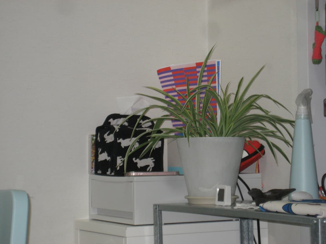 캐논 익시 ixy 70(ixus 60) 상품이미지10