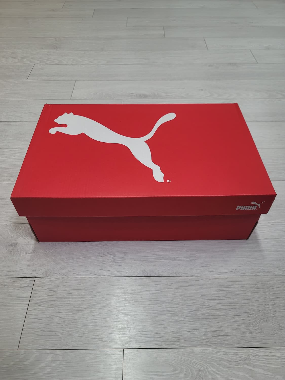 (285)푸마 풋살화 울트라 플레이 TT[대전 직거래도 가능] 상품이미지2