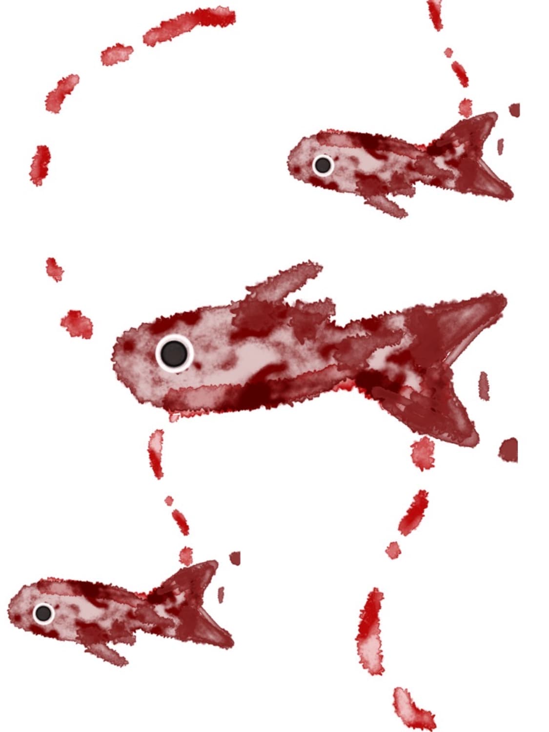 개인결제창 (k***) 상품이미지1