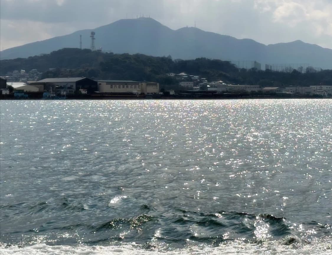 🎥 캐논 익서스 800 IS 디지털 카메라(빈티지 감성) 상품이미지7