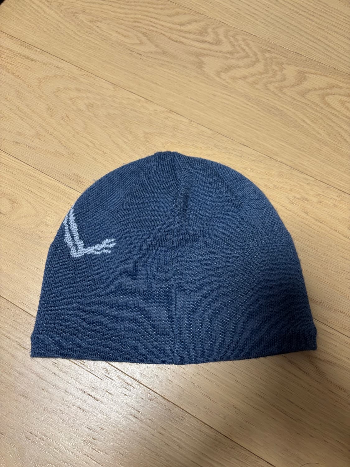 아크테릭스 비니 상품이미지2