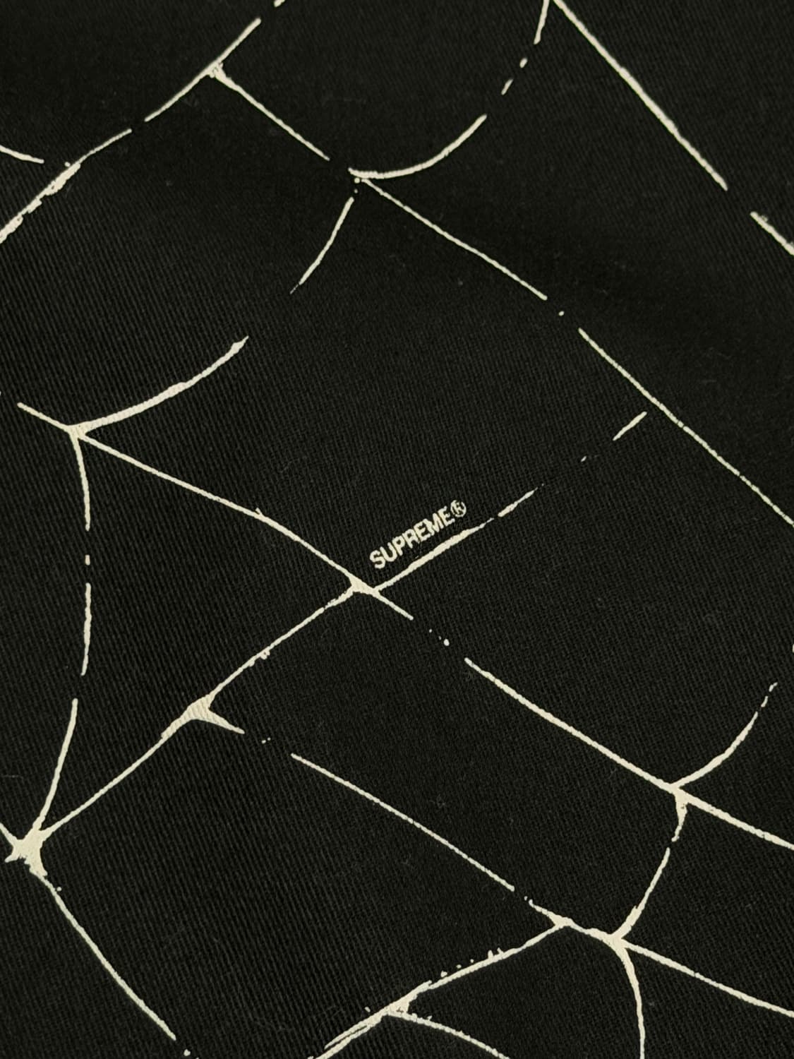 SUPREME 슈프림 웹 스파이더 셔츠 상품이미지8