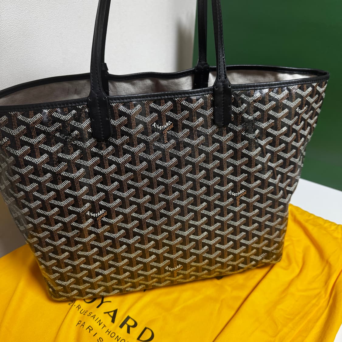 고야드 생루이 백 PM 상품이미지2