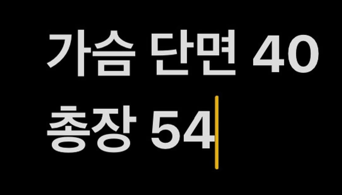 [ 정품/0 ] 파리게이츠 기능성 조끼 b15 상품이미지7