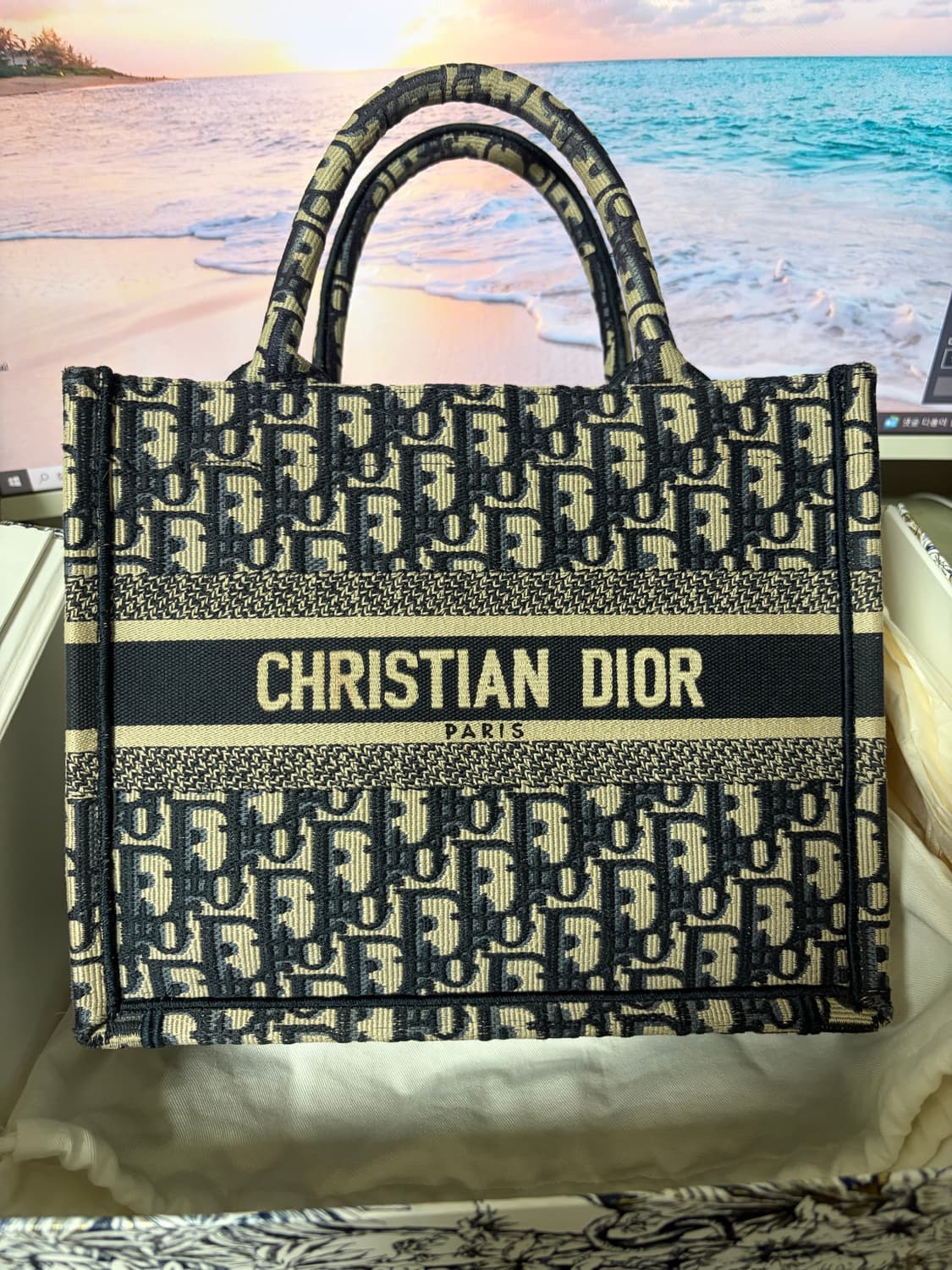 디올 스몰 북 토트백 에크루 블루 오블리크 상품이미지1