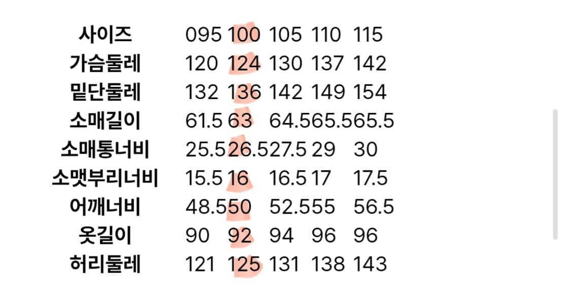 BEANPOLE 빈폴 BX-2 구스다운 점퍼[100] 상품이미지10