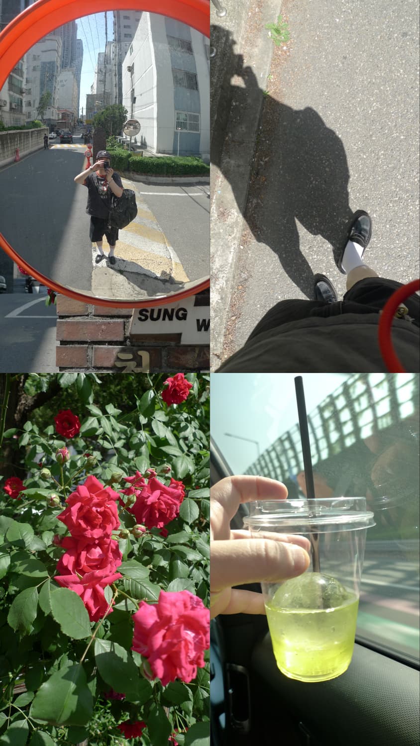 파나소닉 루믹스 LX3 (작례포함) 상품이미지10