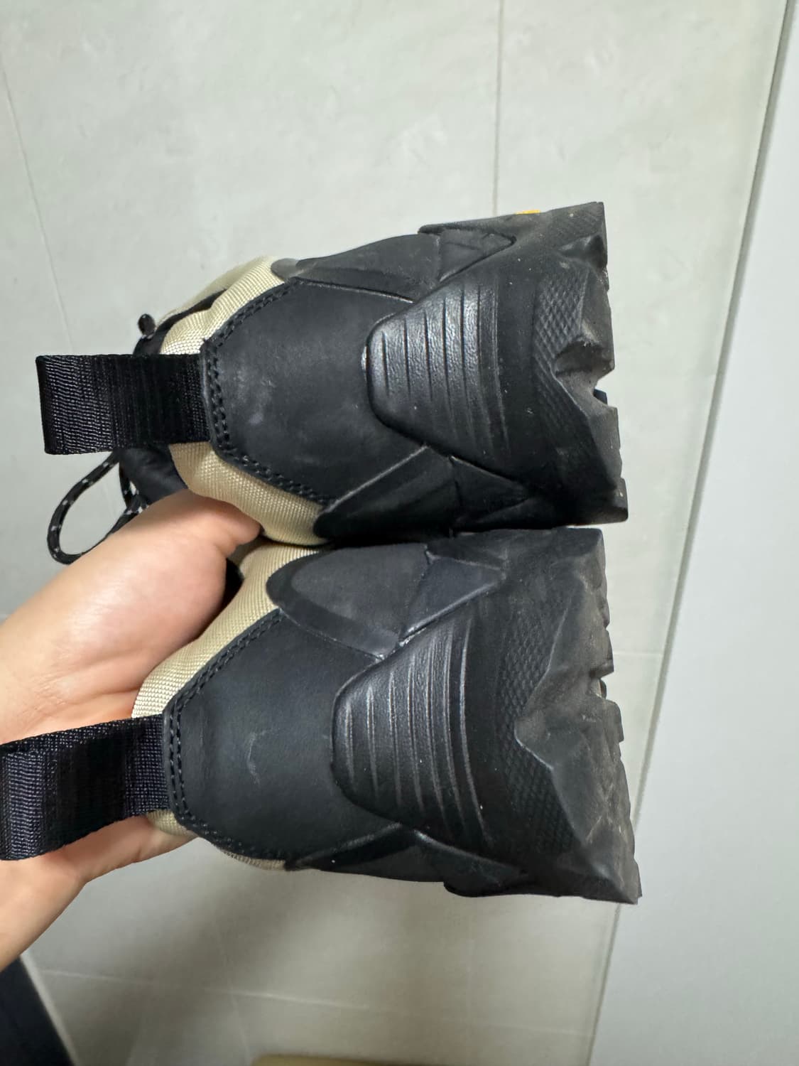 로아 카타리나  상품이미지4