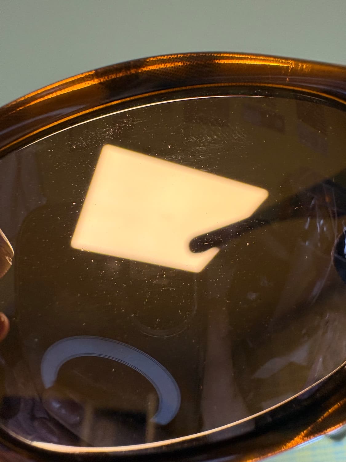 [민트급] Pit Bull OO9161-01 (아시안 핏) 상품이미지4