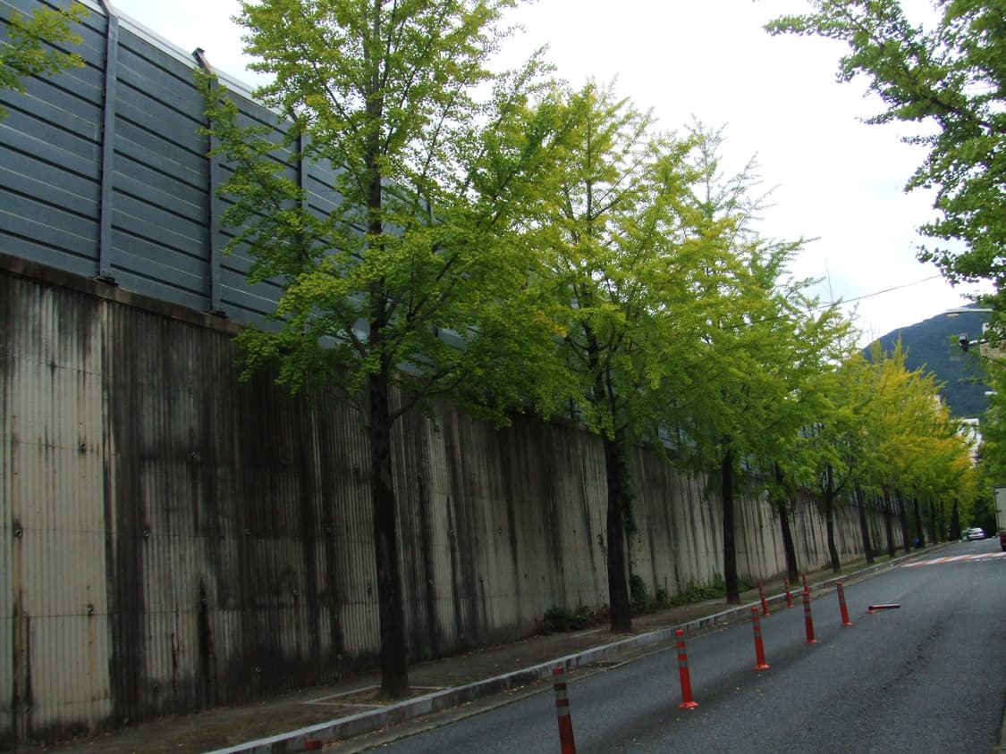 후지필름 Z1 디지털카메라 상품이미지9