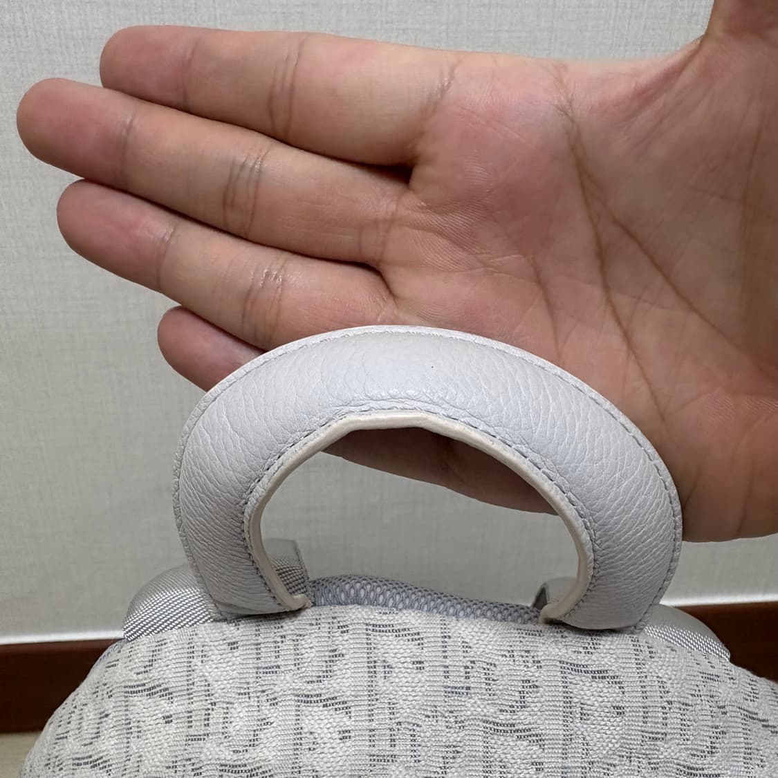 디올 오블리크 라이더 백팩 상품이미지2