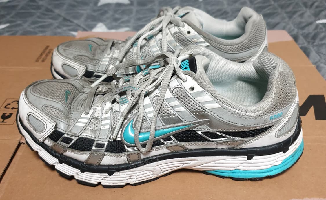 나이키 P-6000 메탈릭실버 더스티 캑터스 (250)CD6404-103 상품이미지2