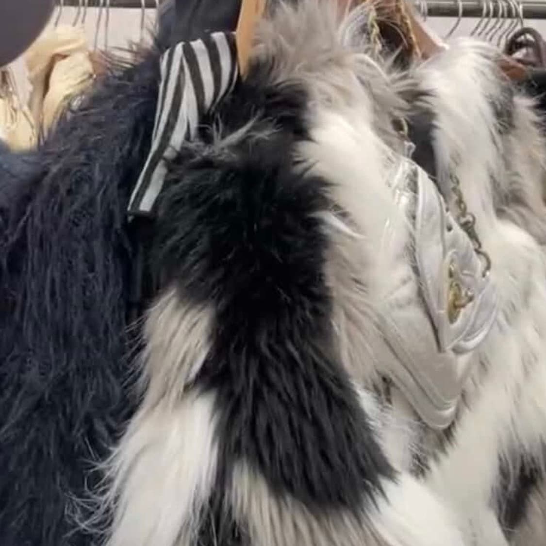 1/1 지브라퍼세트 상품이미지1