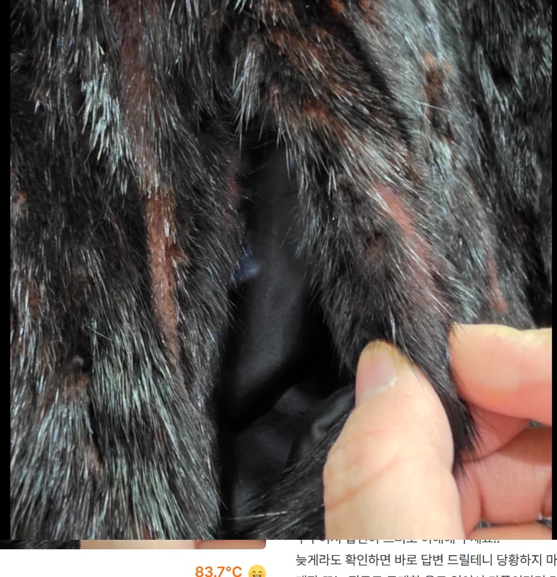 진도 Liphop Premier 밍크 코트 66 상품이미지5