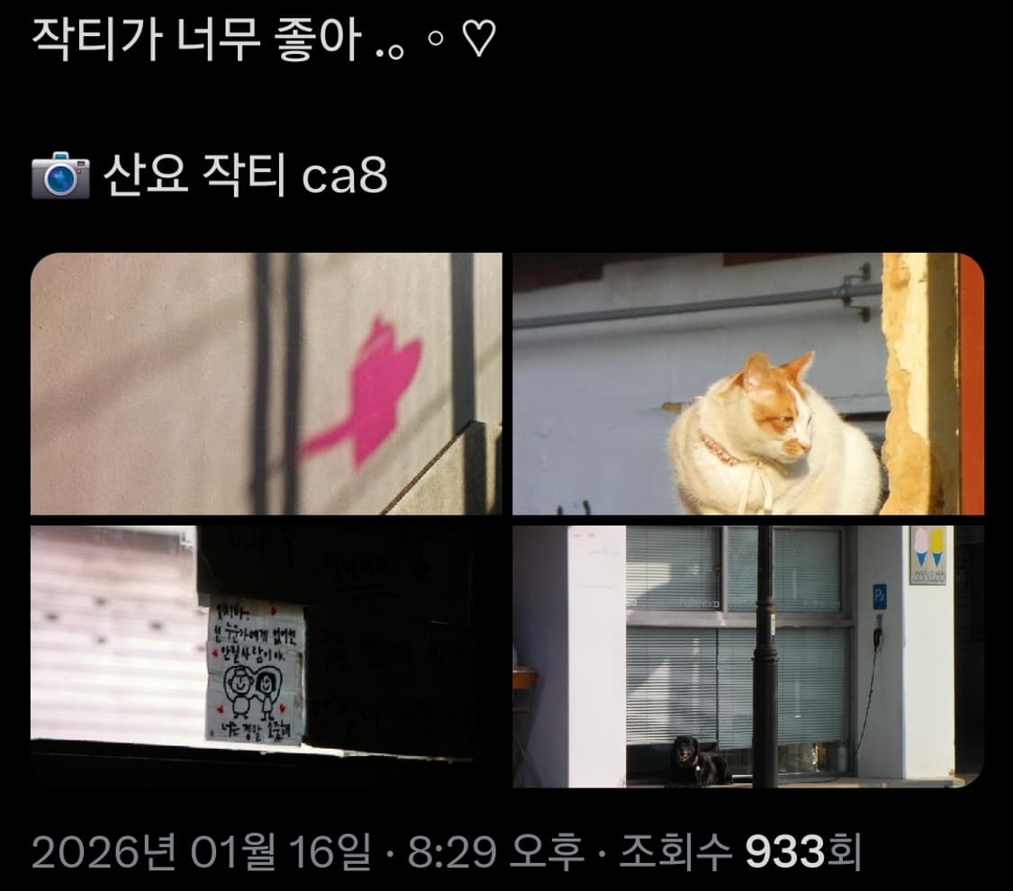 산요 작티 CA8 블루 핸디캠 디토 감성 디카 상품이미지7