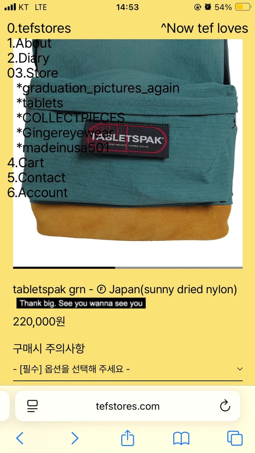 테프스토어즈 타블레츠 가방 상품이미지3