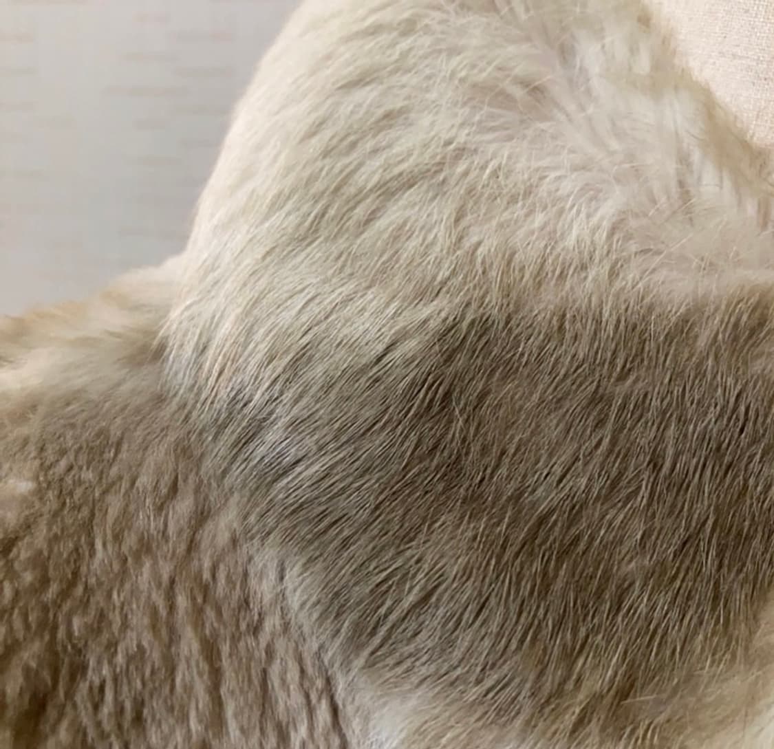 막스마라 토키털 베스트 조끼 상품이미지3