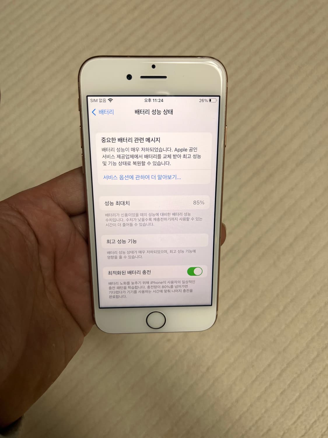 아이폰8로즈골드256GB 상품이미지10