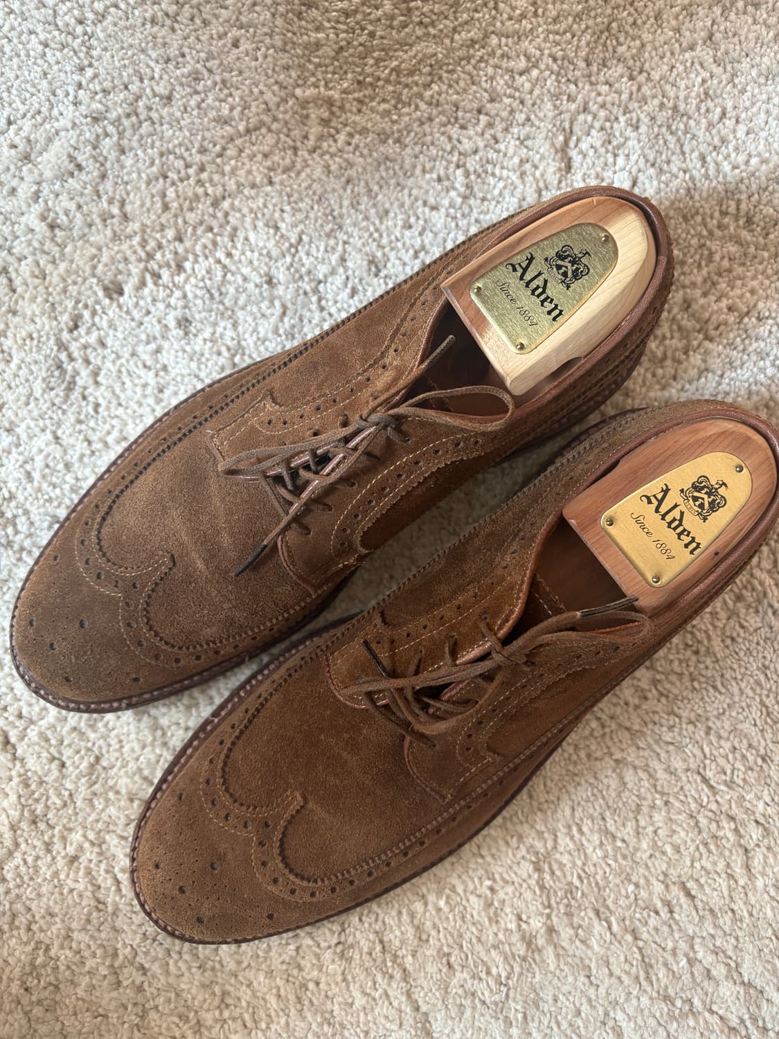 알든 9794 스너프 스웨이드 롱윙 us9D 상품이미지2