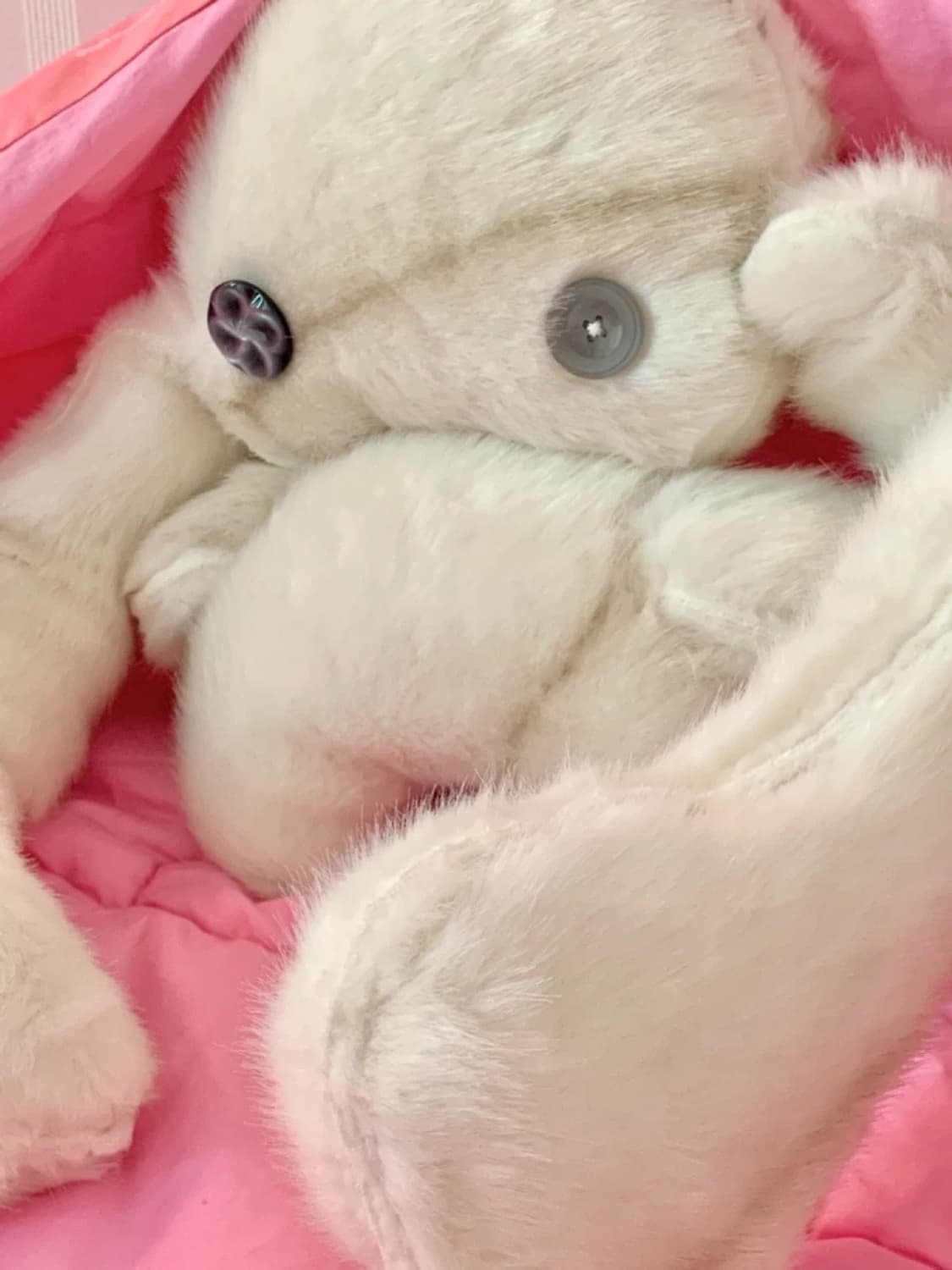 빅 쿠모 인형 판매합니다 방꾸 토끼인형 상품이미지1