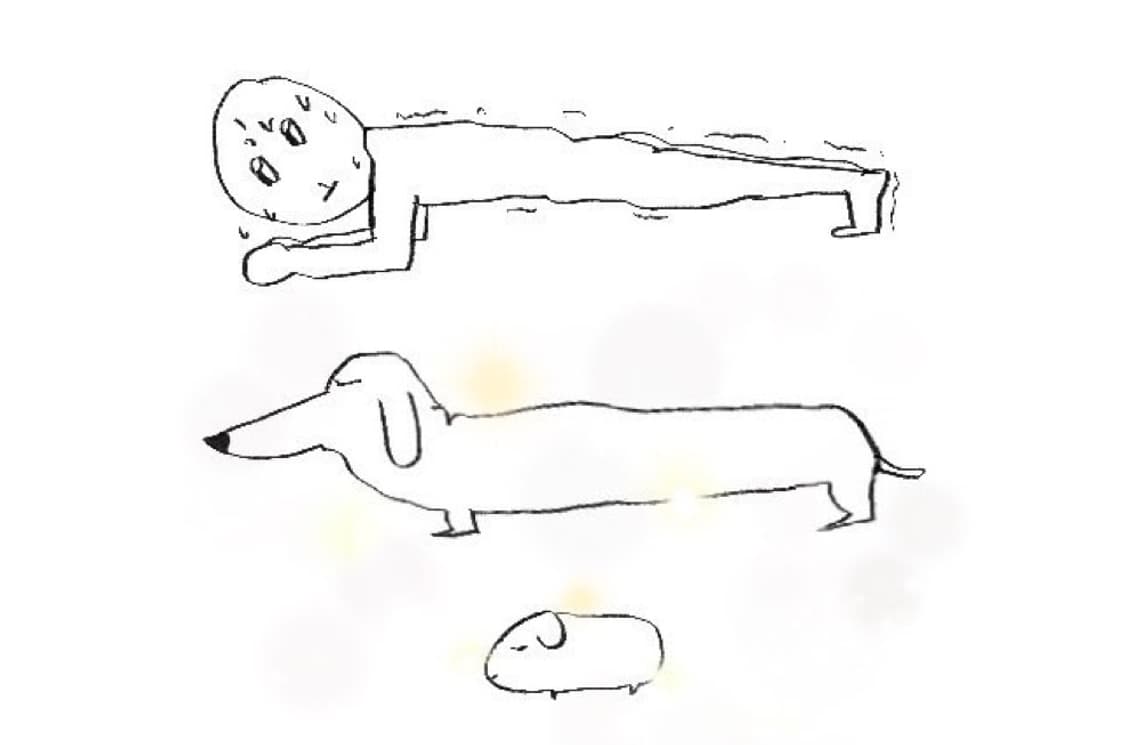 수강권 상품이미지1